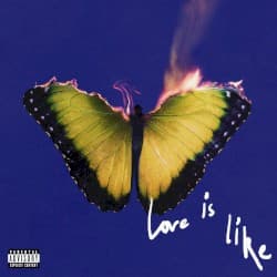 Love Is Like