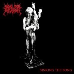 Sinking The Song