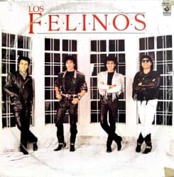 Los Felinos