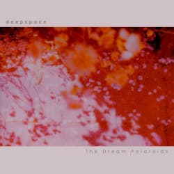 The Dream Polaroids