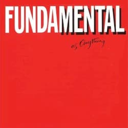Fundamental as Anything
