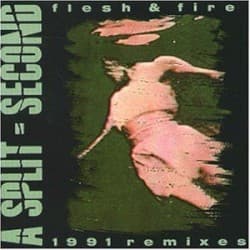Flesh & Fire: 1991 Remixes