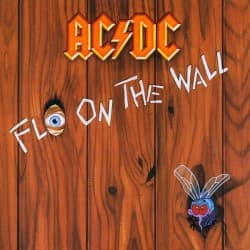Fly on the Wall