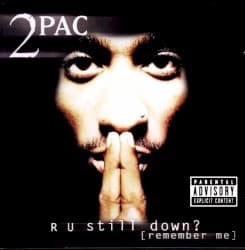 R U Still Down? (Remember Me)