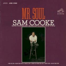 Mr. Soul