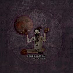 Vedic scrolls