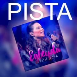 Evidencia (pistas)