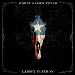 Horse Named Texas
