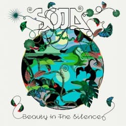 Beauty in the Silence