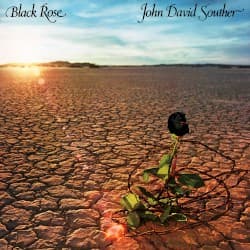 Black Rose