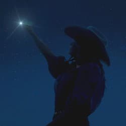 Stars