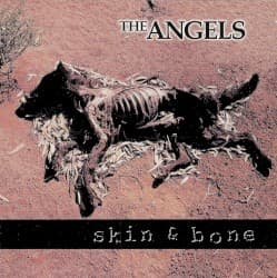 Skin & Bone