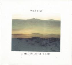 A Billion Little Lights