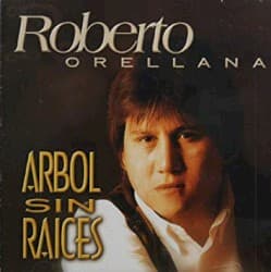 Árbol sin raices