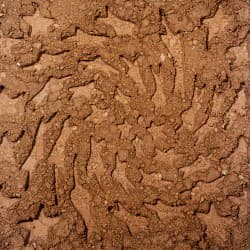 Unerthed: Hole Erth Unplugged