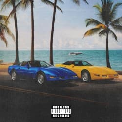 Roofless Records for Drop Tops: Disc 2