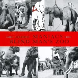 Blind Man’s Zoo