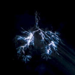 When Wind Meets Fire
