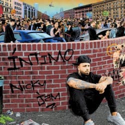 Íntimo