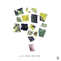I Dream About Trees