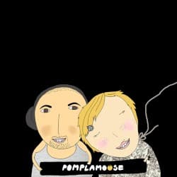 Pomplamoose VideoSongs