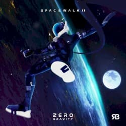 Spacewalk II: Zero Gravity