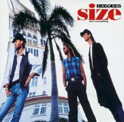 Size Isn’t Everything