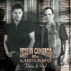 Teorias de Raul