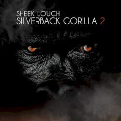 Silverback Gorilla 2