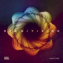 Dim Division