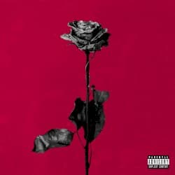 deadroses