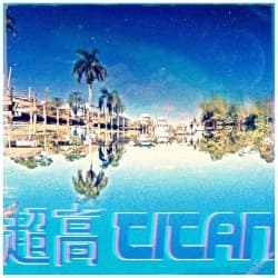Palm City 2