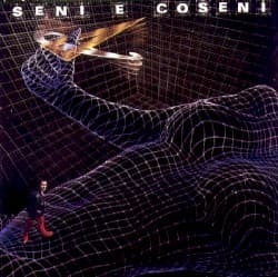 Seni e coseni