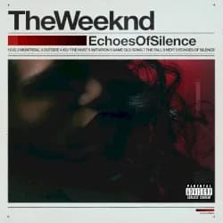 Echoes of Silence