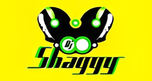 Dj Shaggy Venezuela