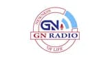 Gn Radio - Egypt