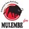 Mulembe FM