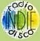 The Disco Paradise - Indie Disco